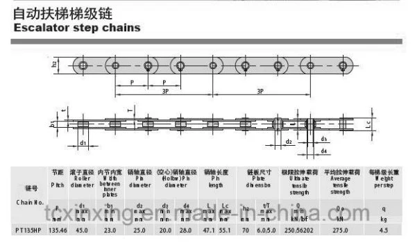 Rotary Chains for Conveyor Step