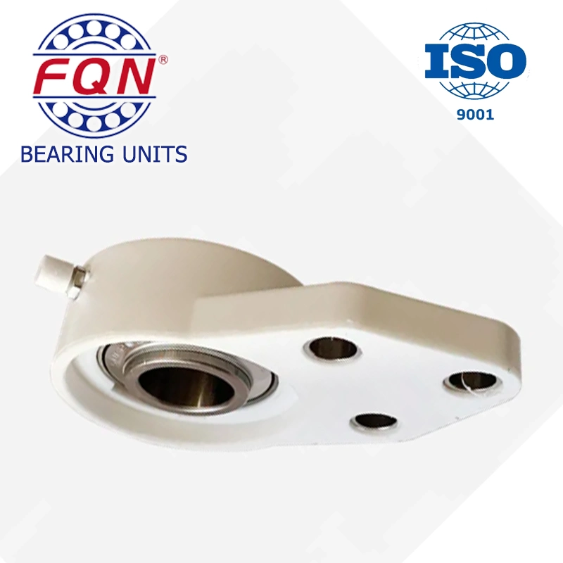 China Hot Sale Ss-Ucppl205 Plastic Pillow Block Bearing Suppliers